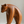 Abstract Wooden Bear Sculpture Handcarved Modern Animal Wood Sculpture